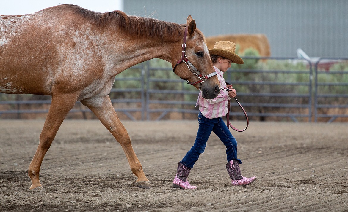 Buckle Series horse show offers return for riders and families